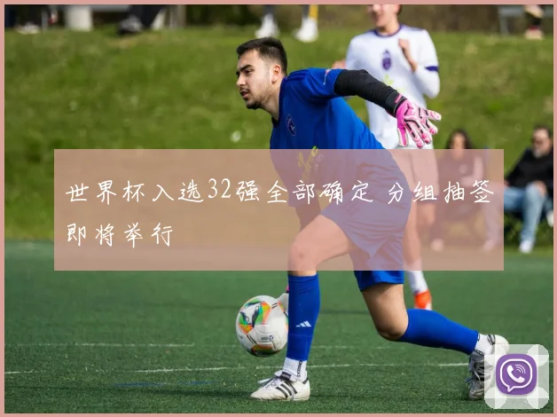 世界杯入选32强全部确定 分组抽签即将举行