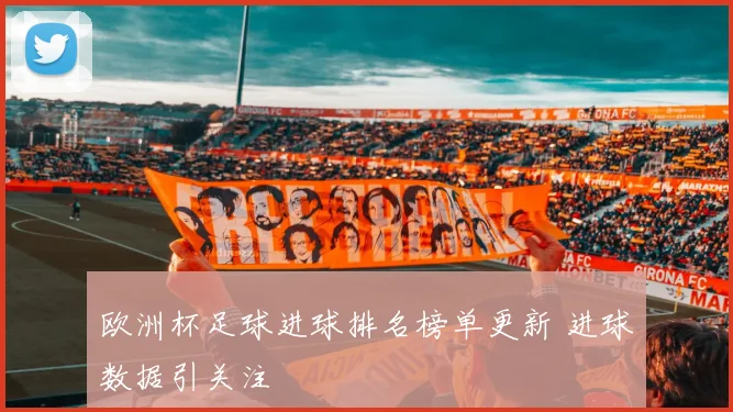 欧洲杯足球进球排名榜单更新 进球数据引关注