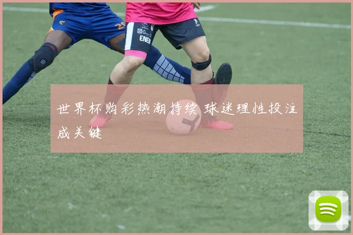 世界杯购彩热潮持续 球迷理性投注成关键