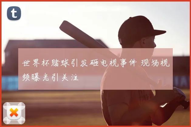 世界杯赌球引发砸电视事件 现场视频曝光引关注