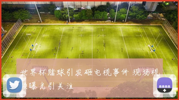 世界杯赌球引发砸电视事件 现场视频曝光引关注