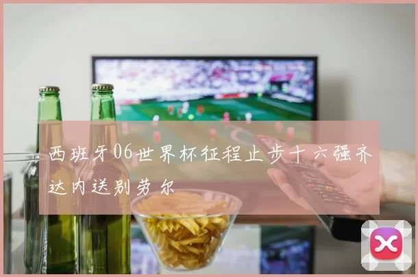 西班牙06世界杯征程止步十六强齐达内送别劳尔