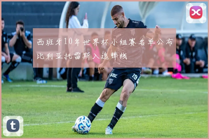 西班牙10年世界杯小组赛名单公布比利亚托雷斯入选锋线