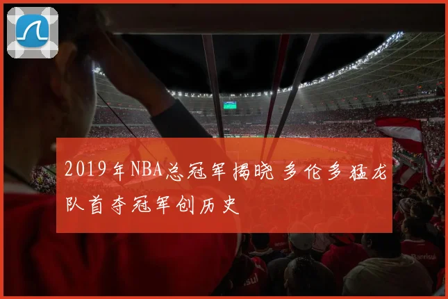 2019年NBA总冠军揭晓 多伦多猛龙队首夺冠军创历史
