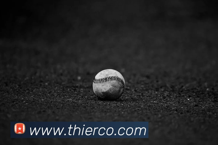 emc易倍官网登录服务体系